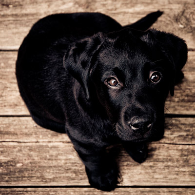 ddos攻击测试工具