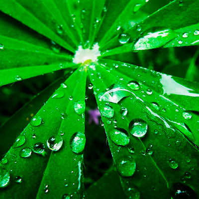 品质保证的免费ddos攻击网页端