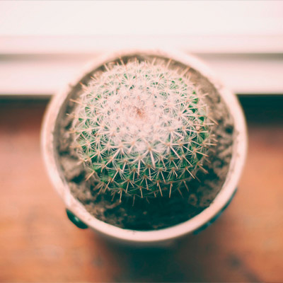 在线教育平台的免费ddos网页端